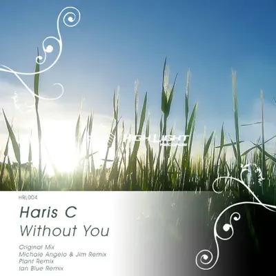Ascolta 'Without You' di Haric C