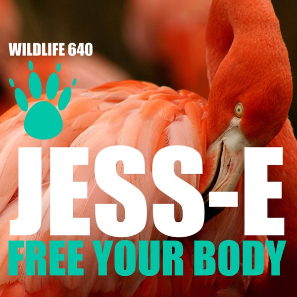 Free Your Body - Single