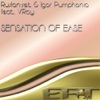 Sensation of Ease (feat. V.Ray)