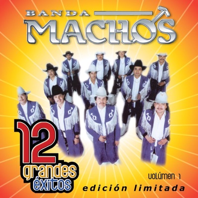 Banda Machos: 12 Grandes Exitos, Vol. 1