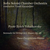 Three Characteristic Pieces: I. Troika in E Major artwork