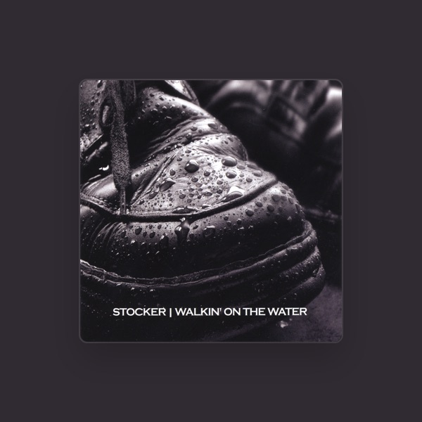 Stocker's avatar