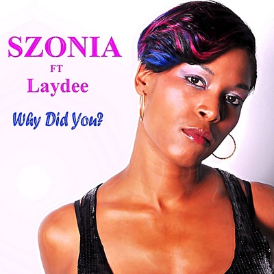 Why Did You? (feat. Laydee) - Single