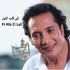 Ali El Haggar - Ro7y Fiki روحي فيكي artwork