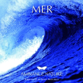 Ambiance nature : Mer
