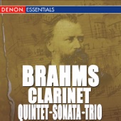 Trio for Clarinet, Piano and Violoncelloin a Minor, Op. 114: II. Adagio artwork