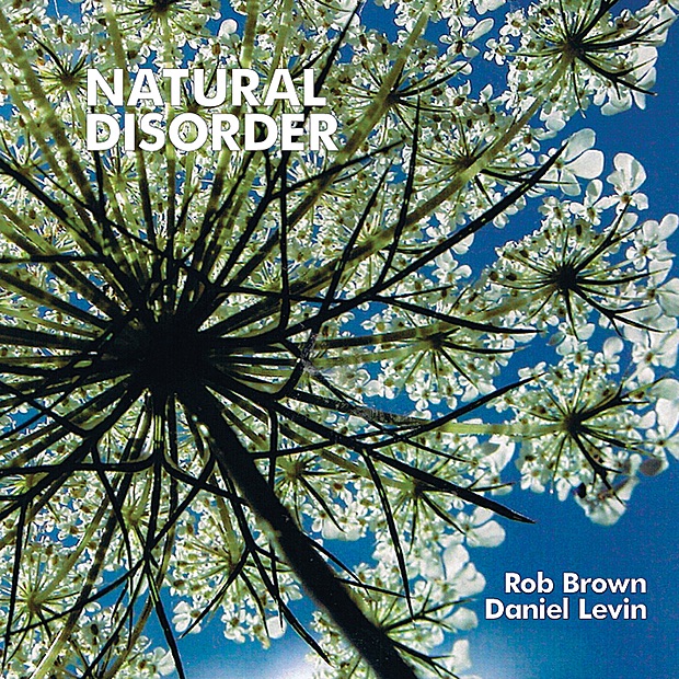 Обложка альбома «Natural Disorder» — Rob Brown & Daniel Levin