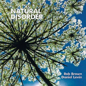Natural Disorder