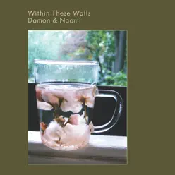 Within These Walls - Damon and Naomi Within These Walls - Damon and Naomi