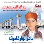 Hain Gali Gali Mein Narey Vol. 3 - Islamic Naats