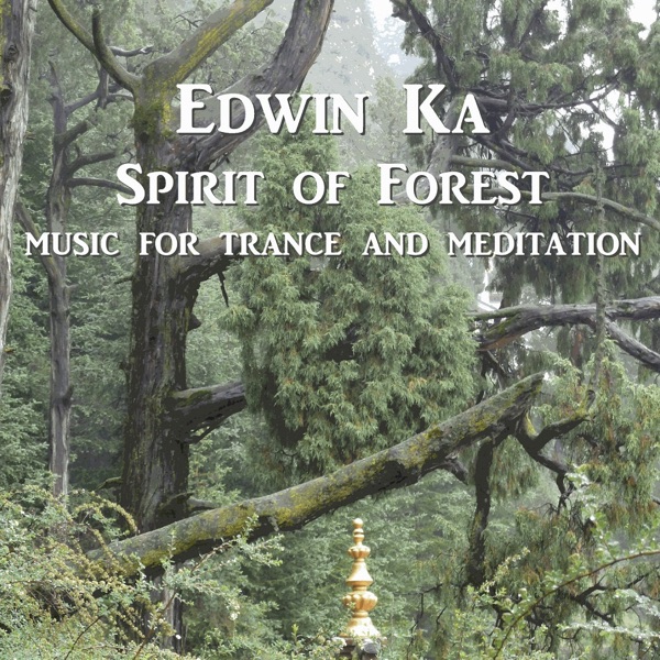 Spirit Of Forest