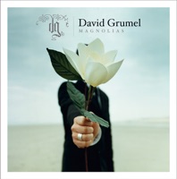 Magnolias - Single - David Grumel
