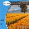 Sunshine Fields
