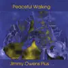 Jimmy Owens - What's the Use