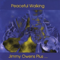 Jimmy Owens - What's the Use
