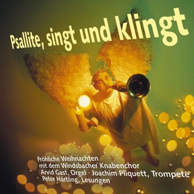 Psallite, singt und klingt