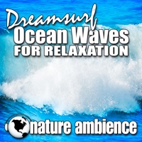 Dreamsurf Ocean Waves for Relaxation (Nature Sounds) - Single - Nature Ambience