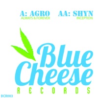 Always & Forever / Inception - Single - Agro & Shyn