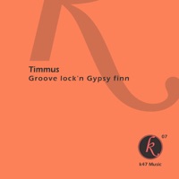 Groove Lock'n Gypsy Finn - Single - Timmus