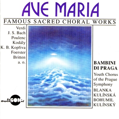 Ave Maria (Famous Sacred Choral Works)