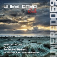 Perfected Moment - Single - Bushi