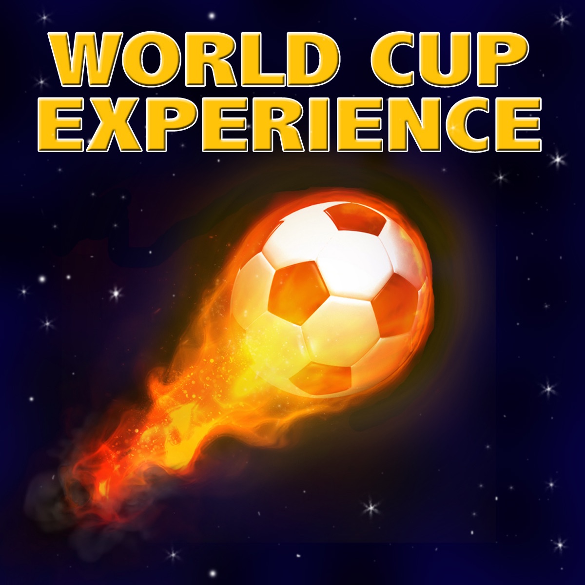 World Cup Experience (South Africa 2010)