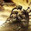 Quantic Enigma