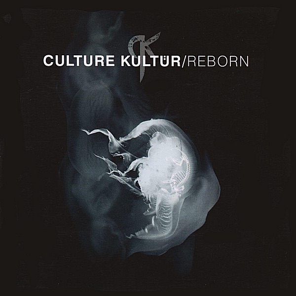 Reborn artwork
