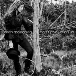 Don't Give Up On Us - Single - Sarah Mclachlan Don't Give Up On Us - Single - Sarah Mclachlan