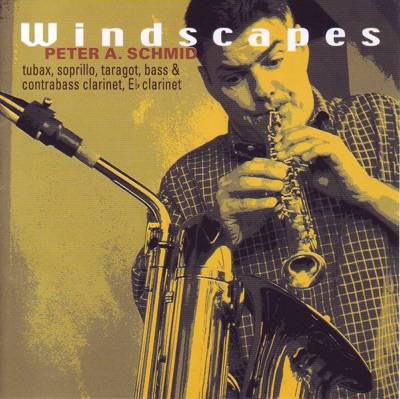 Windscapes