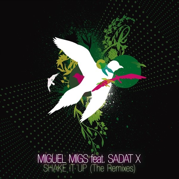 Обложка альбома «Shake It Up (The Remixes) [feat. Sadat X]» — Miguel Migs