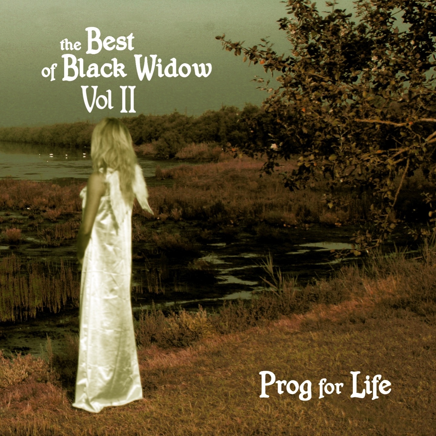 Prog for Life: The Best of Black Widow, Vol. 2