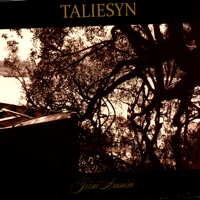 Taliesyn - Birds of the Hills