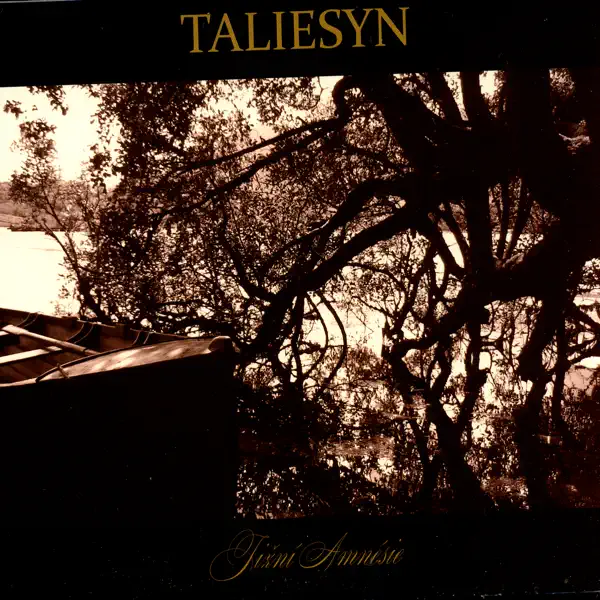 Lady of the Lake — Taliesyn