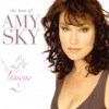 Amy Sky - Love Pain and the Whole Damn Thing
