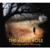 The Alice Rose - Ocean