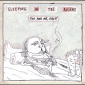 Sleeping In the Aviary - Talking Out of Turn