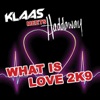 Haddaway - What Is Love 2K9