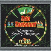 Trio Tariacuri - El Sueño