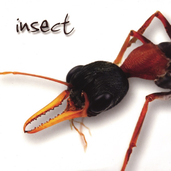 Обложка альбома «Insect» — Insect