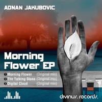 Morning Flower EP - Single - Adnan Jakubovic