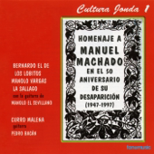 Cultura Jonda, Vol. 1 - Homenaje a Manuel Machado
