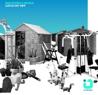 Catch My Riff - Dislodged & Mogul