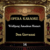 Opera Karaoke, Vol. 14 (Wolfgang Amadeus Mozart) - Experts Studio Orchestra