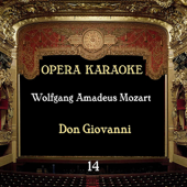 Cover art for Opera Karaoke, Vol. 14 (Wolfgang Amadeus Mozart) by Experts Studio Orchestra