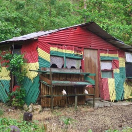 Black Survivors Renegade