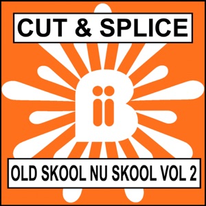 Old Skool Nu Skool Vol.2 - Single