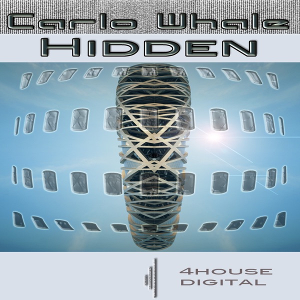 Hidden - Single