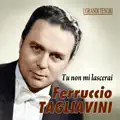 Tu non mi lascerai