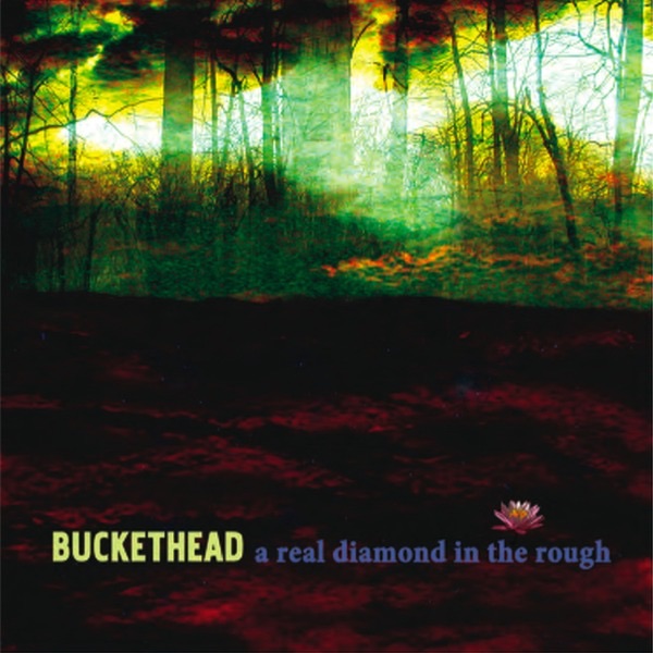 Shadows Between The Sky - Album by Buckethead - Apple Music